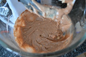 Mix in pudding and cocoa powder